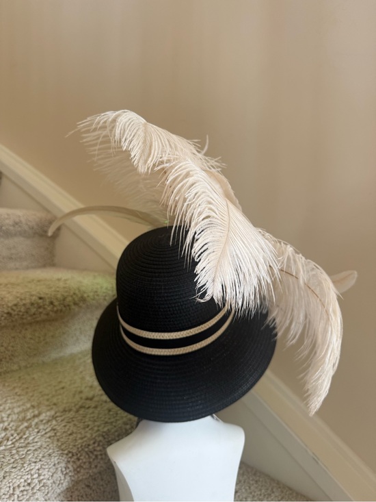 Elegant Black Hat tigers eye main image 6